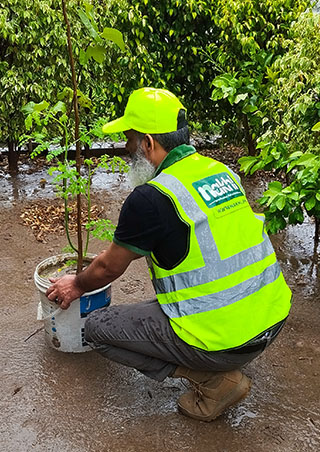 Nakhal Team tree planting activity