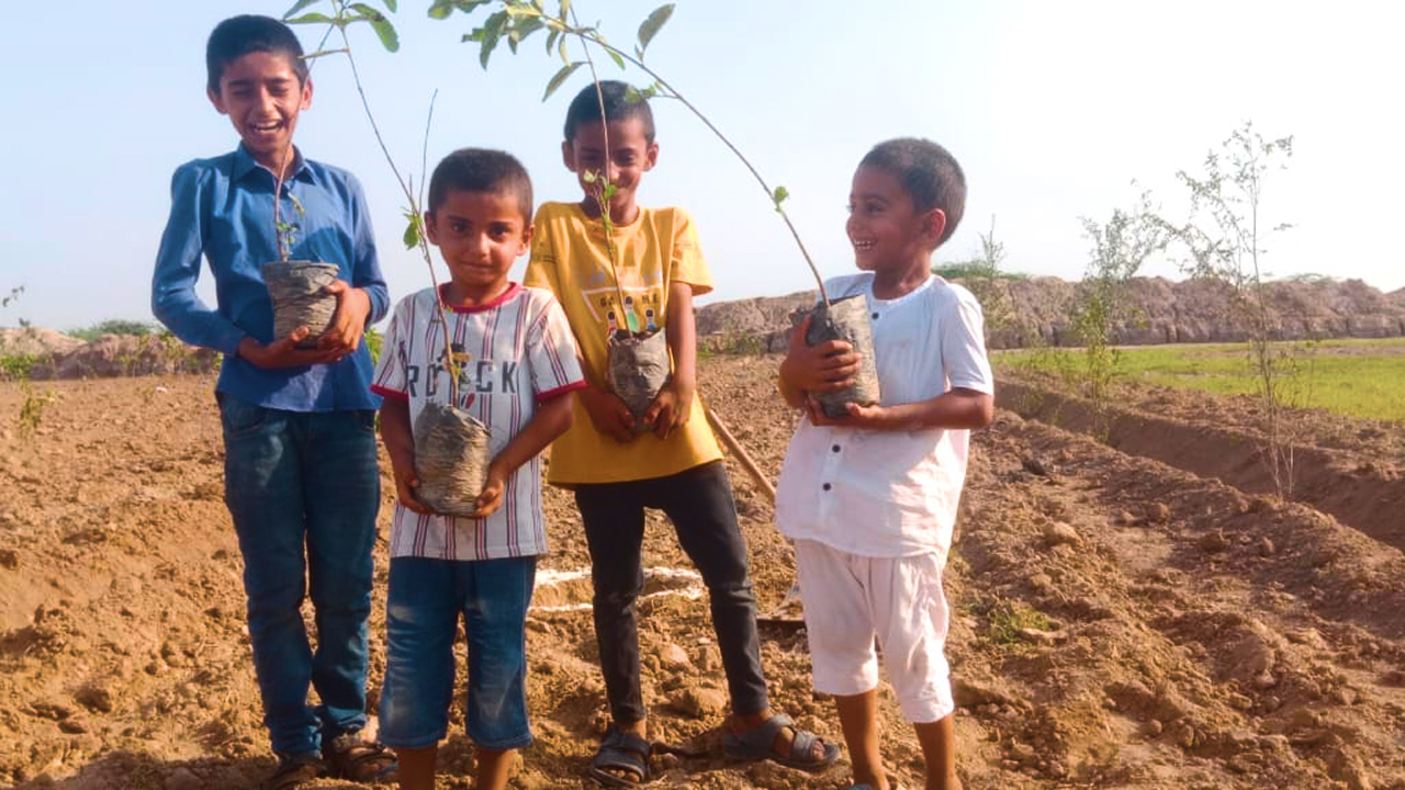 Children holding tree saplings while standing in a field
